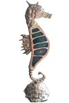 Bronze Seahorse With Glass